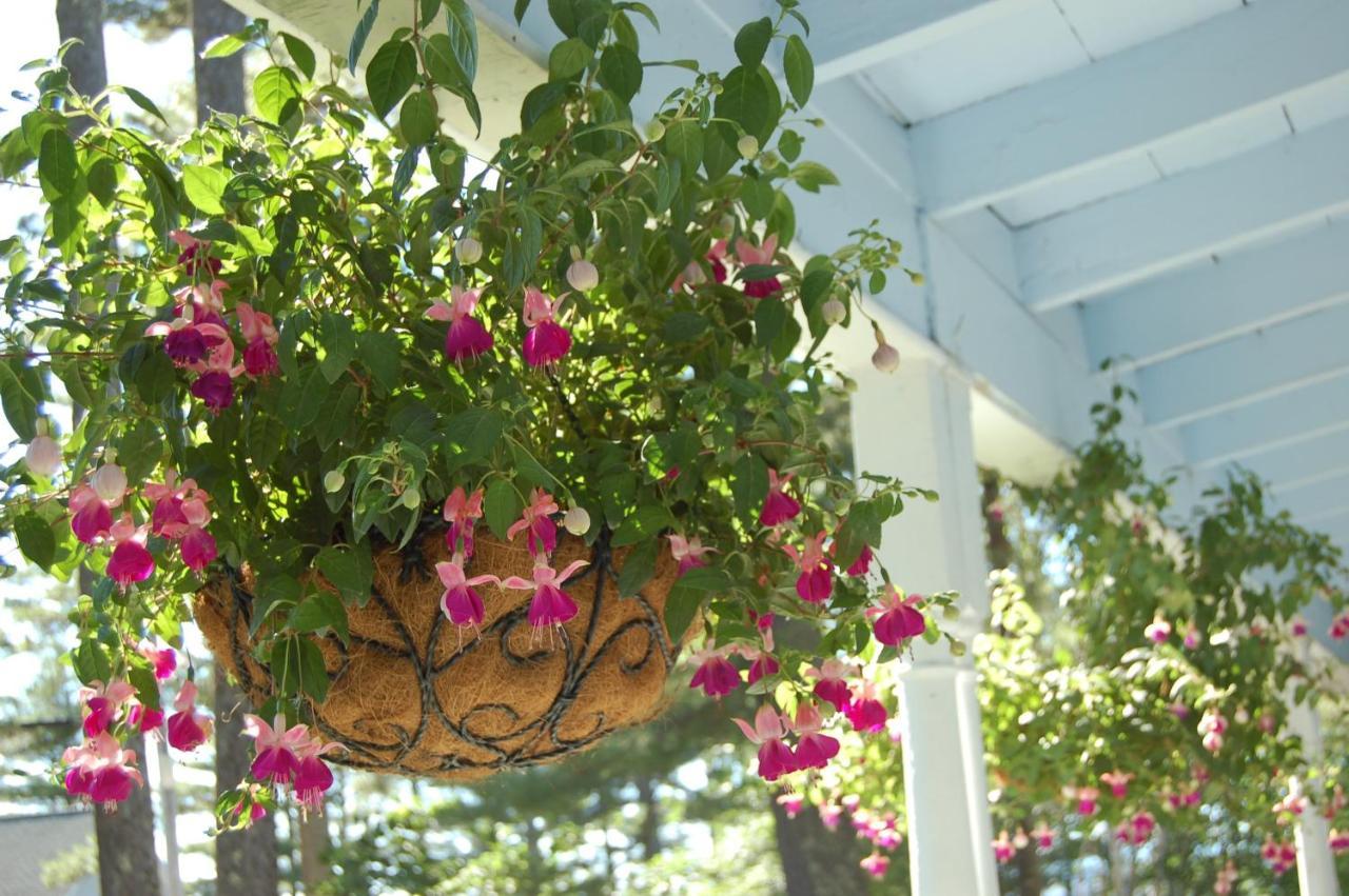 North Windham Sebago Lake Lodge & Cottages المظهر الخارجي الصورة
